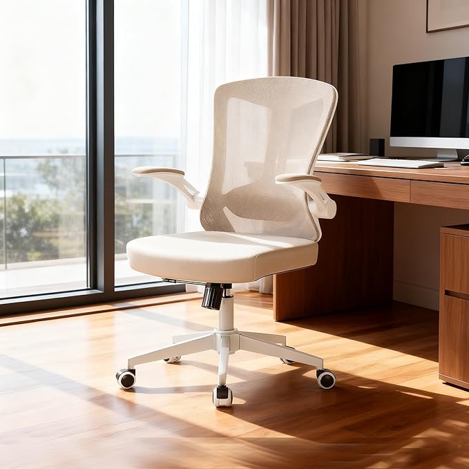 Ergonomic Task Chairs